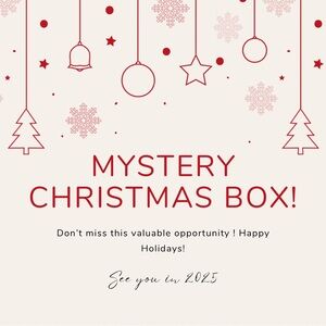 The thrill of the unknown! Xochitl Bijoux Christmas Mystery Box Recommended
